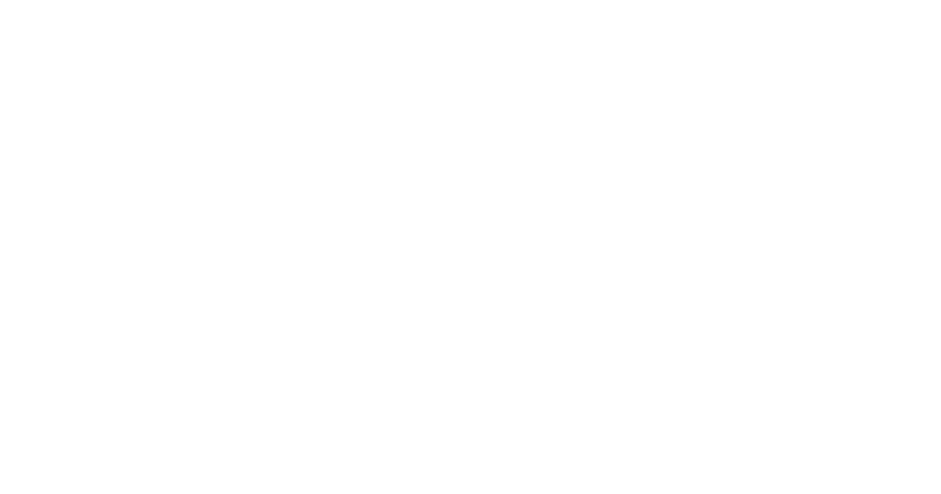 Bistro Anif